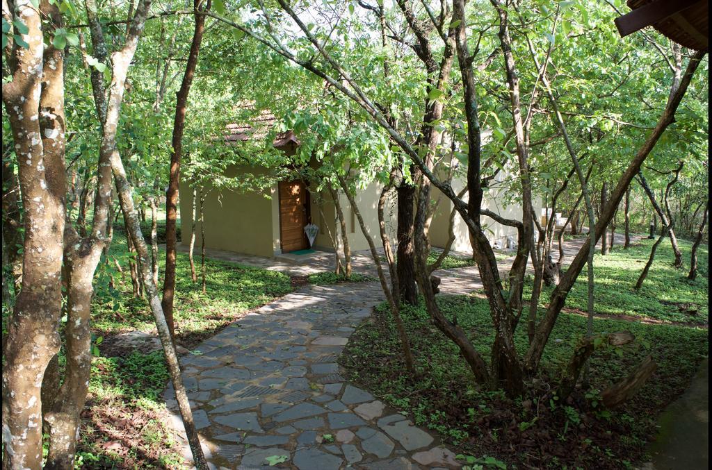 The Windflower Jungle Resort & Spa, Bandipūr Εξωτερικό φωτογραφία