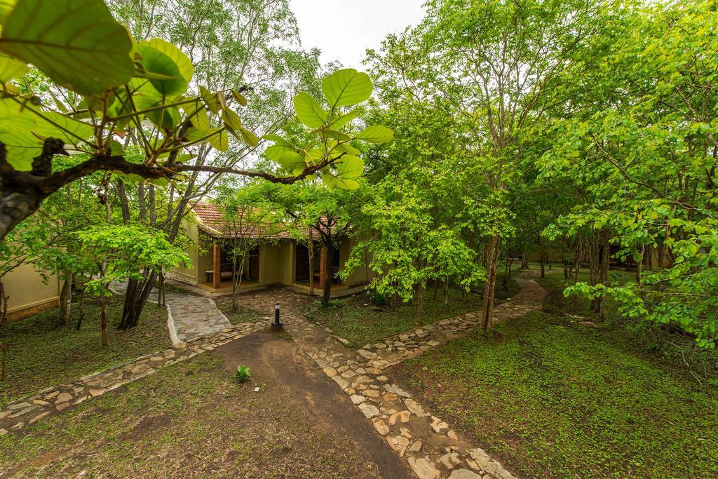 The Windflower Jungle Resort & Spa, Bandipūr Εξωτερικό φωτογραφία
