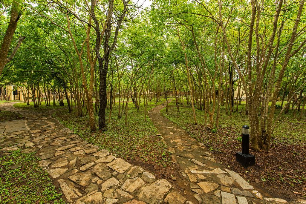 The Windflower Jungle Resort & Spa, Bandipūr Εξωτερικό φωτογραφία